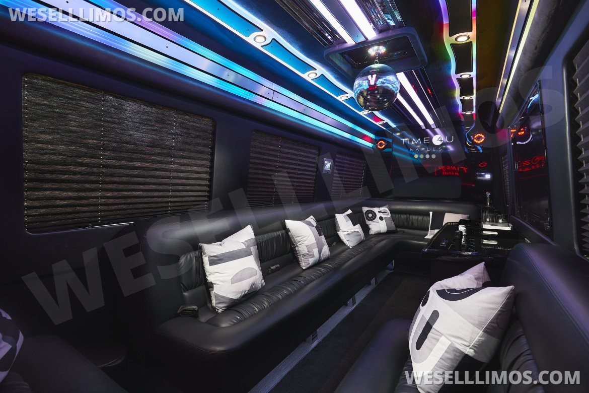 Sprinter for Sale in Naples, FL - Photo 5