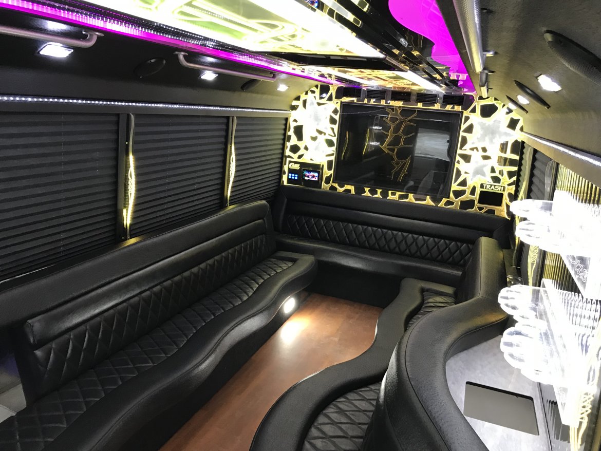 Limo Bus for Sale in NORTH EAST, PA - Photo 14