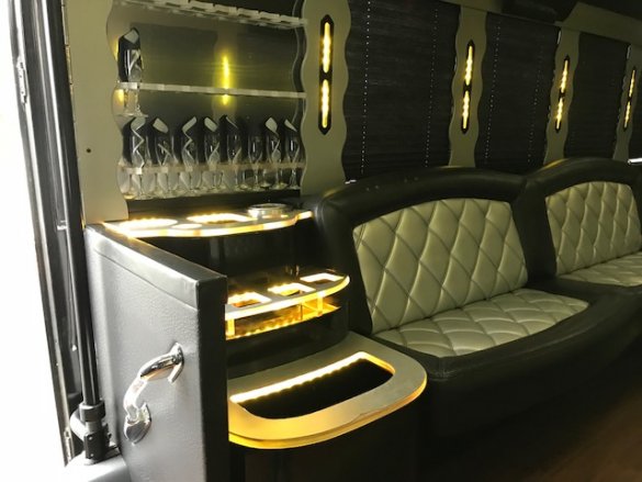 2011 Ford E-450 Limo Bus for Sale in Oaklyn, NJ - Photo 2