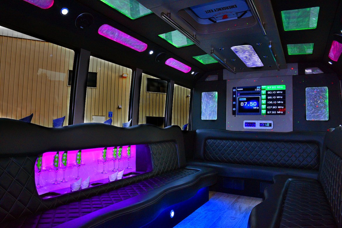 Limo Bus for Sale in Houston, TX - Photo 11