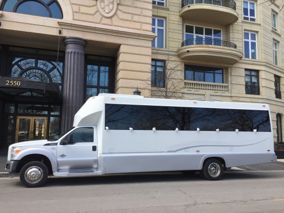 2012 Ford F550 LimoBus Limo Bus for Sale in Rolling Meadows, IL - Photo 3