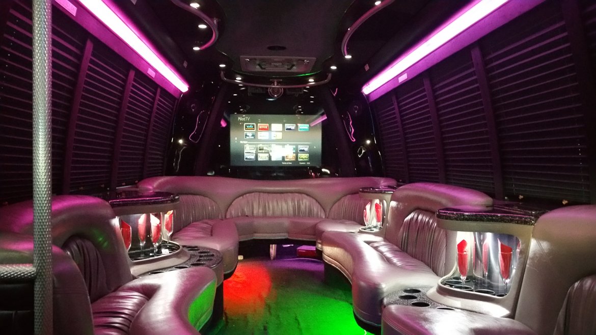 Limo Bus for Sale in Houston, TX - Photo 15